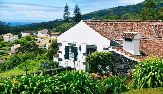 Auntie's House in Horta