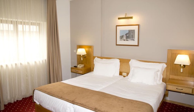 Hotel Rainha D. Amelia, Arts & Leisure