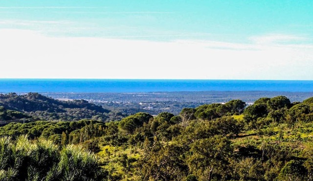 Holiday house Melides for 1 - 14 persons with 5 bedrooms - Farmhouse in Melides
