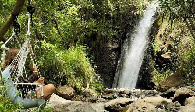 Wild Banana Farm Bungalow, Waterfall, Grotto Pool, Cave Pool, & Sauna in Ponta do Sol