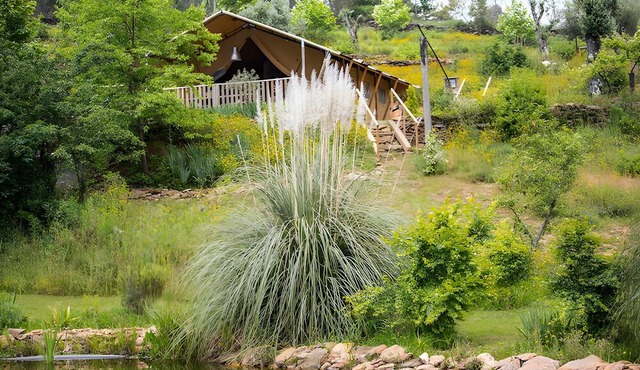 "Figo Glamping" Tent with Mountain View, Private Pool, and Wi-Fi