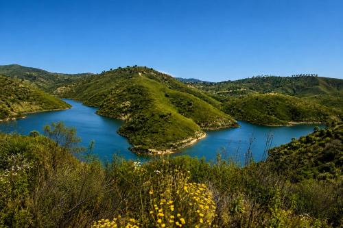 Algarve Oasis