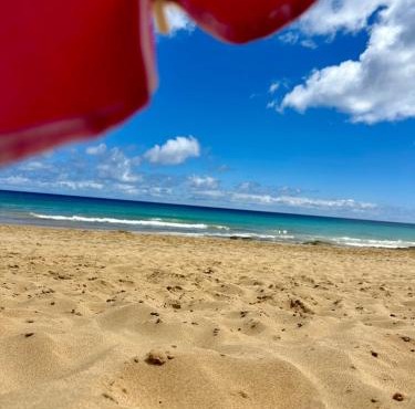 Villas Simone Porto Santo