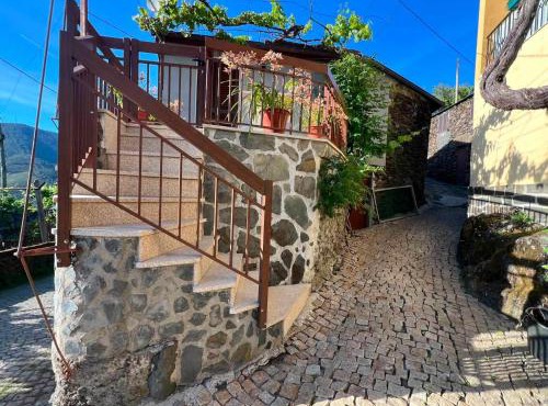 Casa da Violeta in Mondim de Basto