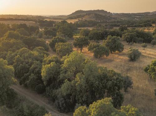 Gandum Village - Conscious Boutique Hotel in Montemor-o-Novo