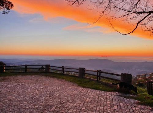Casa de Campo com Olhar a Montanha in Sever do Vouga