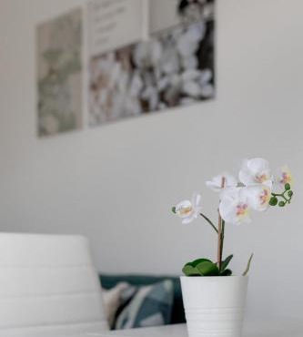 2bedroom apt in Reboleira free public parking