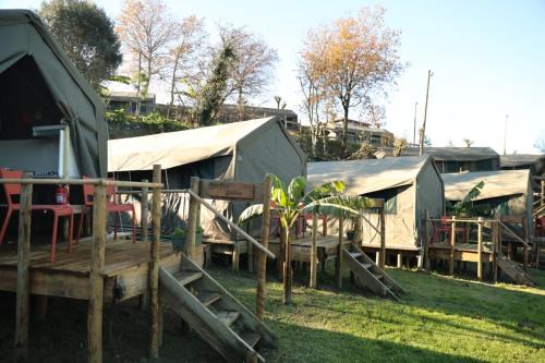 Safari Glamping Rhino