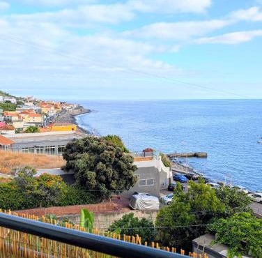 Madeira Native Motion BYSEA