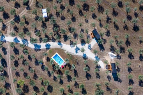 Refugio do Olival by Tiny Away