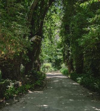 Quinta da Penalva - Sintra