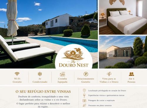The Douro Nest