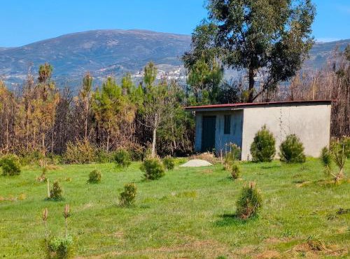 Eco-Bungalow Com Vista Serra da Estrela Pinhal