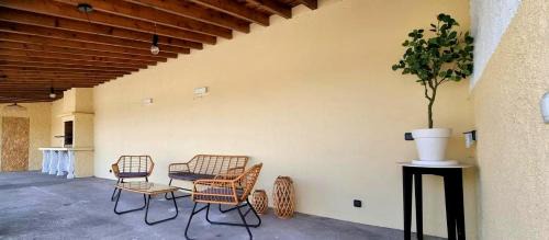 The Frenchie's House in Ribeira Grande