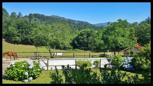 Quinta da Quinta