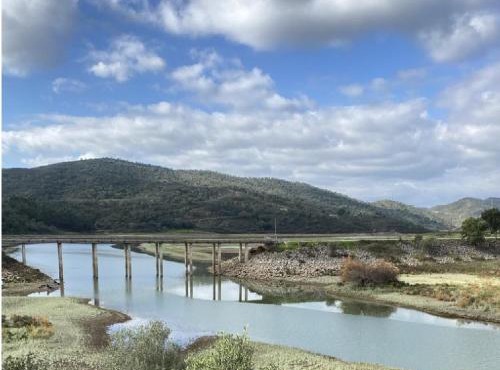 Large Lakeside Villa near Silves - Figs on the Funcho