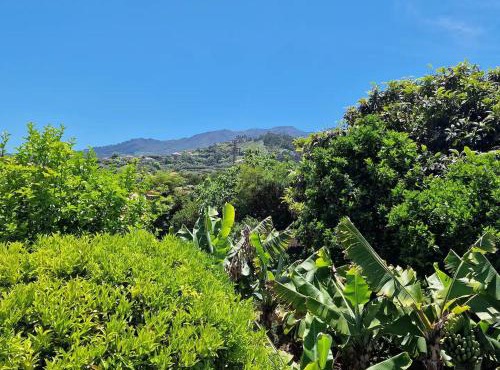 Villa Alta Vista in Santana