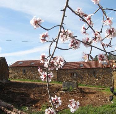 Quinta dos Baldo in Freixo de Espada à Cinta