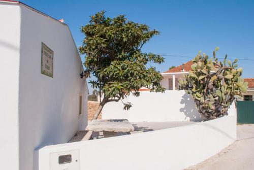Casa De Campo De Oliveiras in Penela